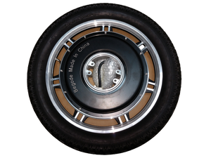 RS Motor